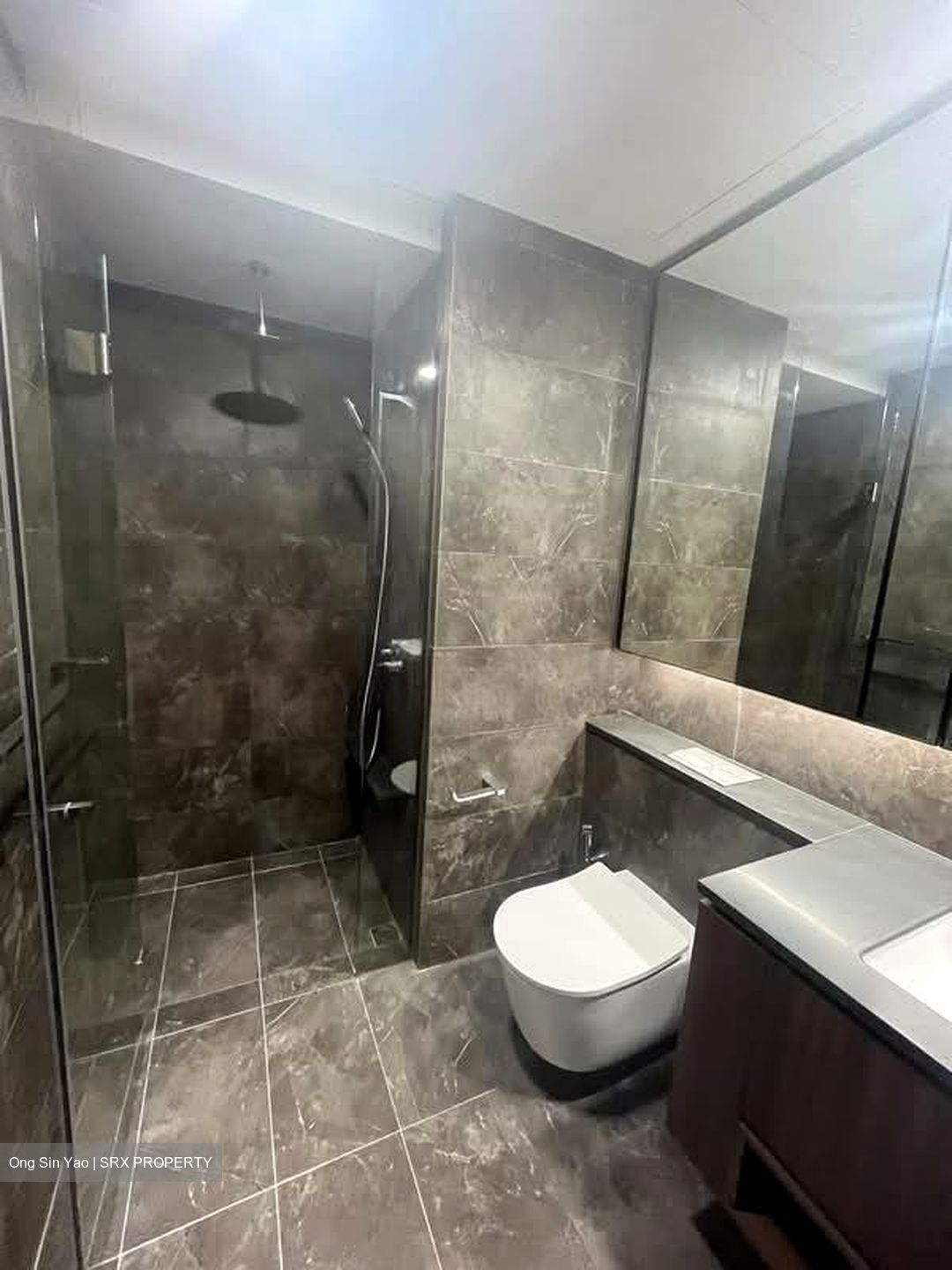 Kopar At Newton (D9), Apartment #556066091